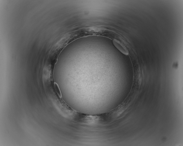 X0000111390328200907171252