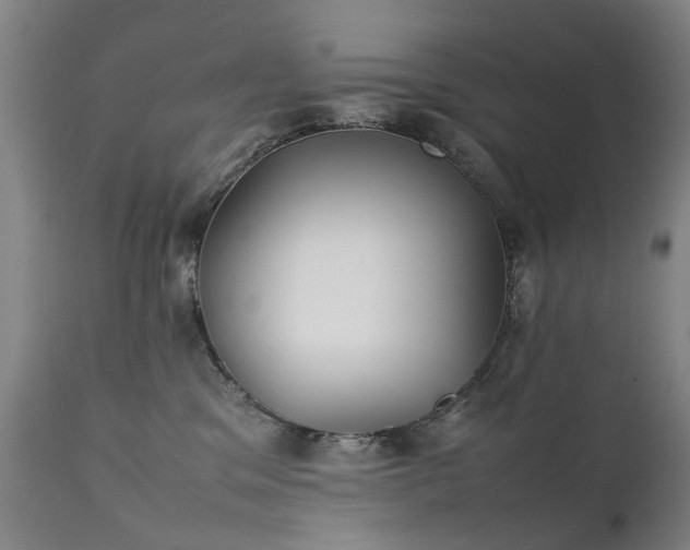 X0000111390329200907171252