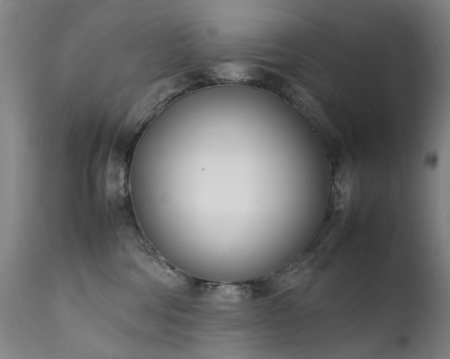 X0000111390330200907171252