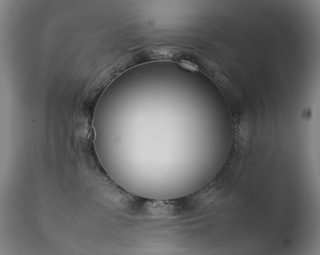 X0000111390331200907171252