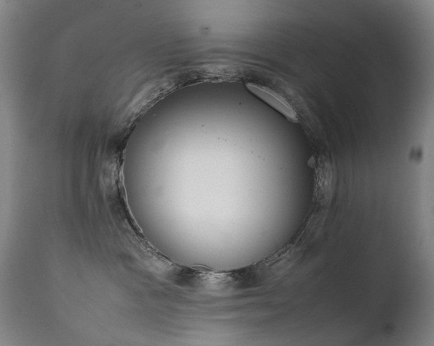 X0000111390333200907171252