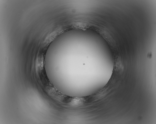 X0000111390334200907171252