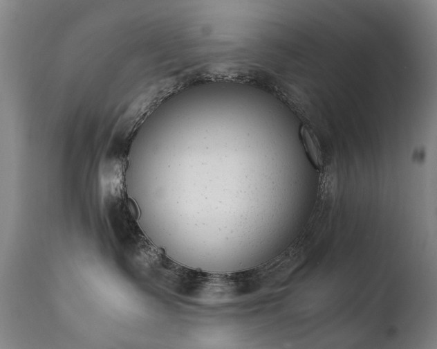 X0000111390335200907171252