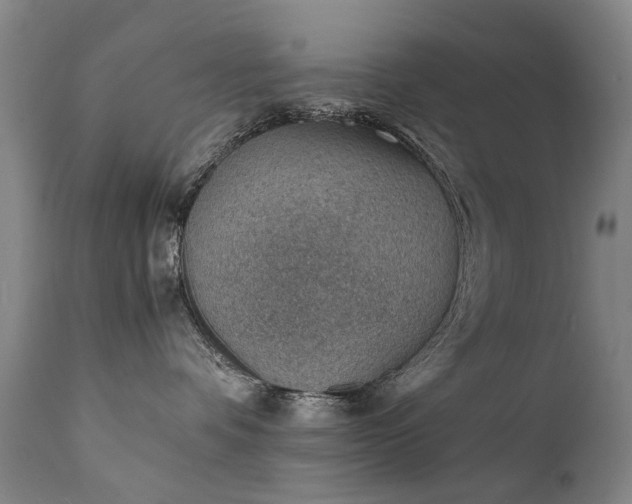 X0000111390336200907171252