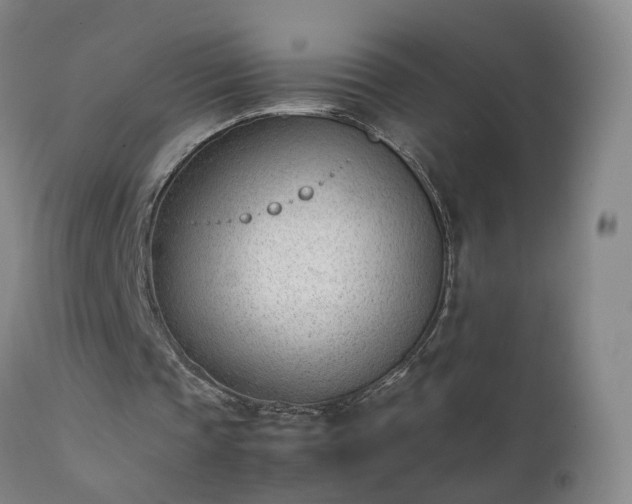 X0000111390337200907171251