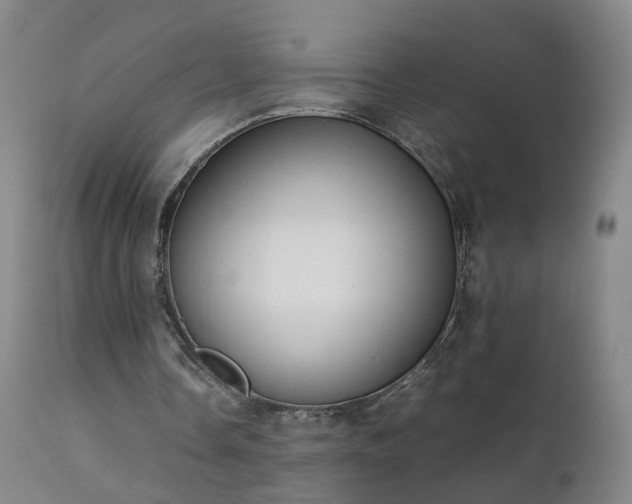 X0000111390338200907171251