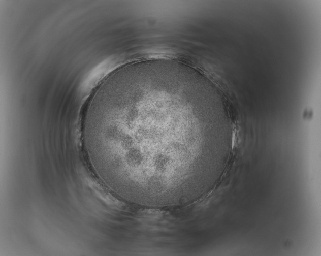 X0000111390339200907171251