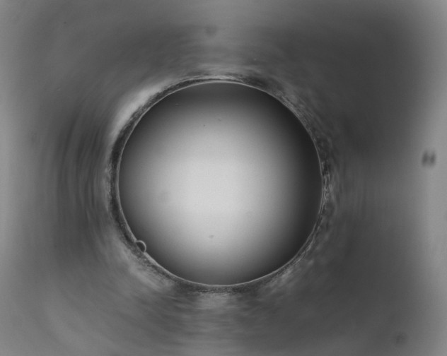 X0000111390342200907171251