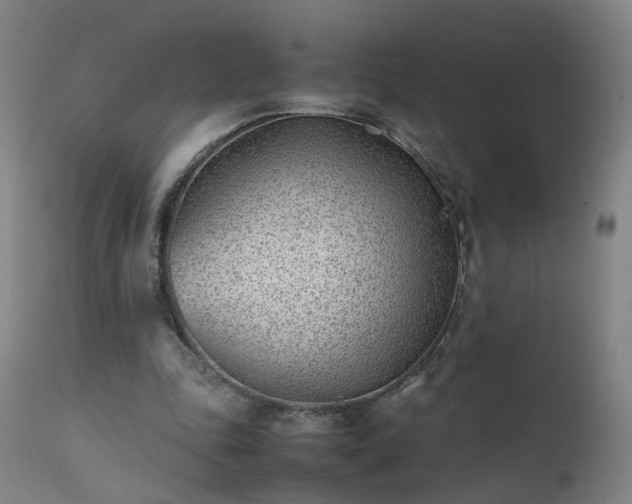 X0000111390343200907171251