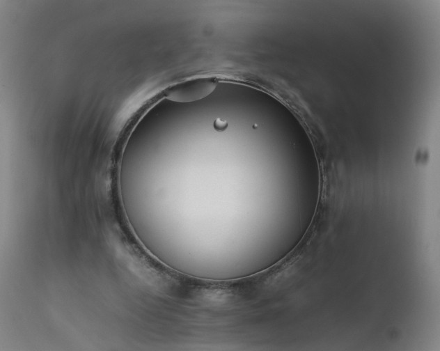 X0000111390344200907171251