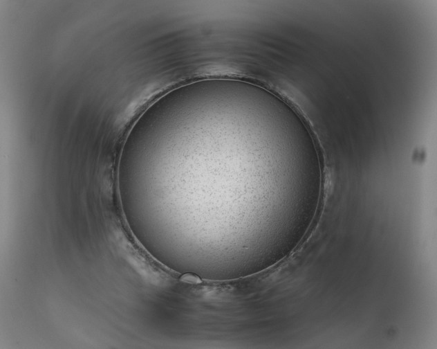 X0000111390345200907171251