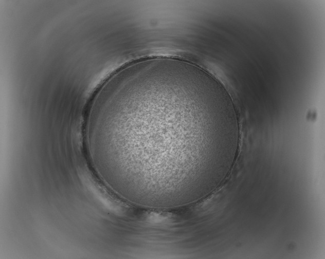 X0000111390346200907171251