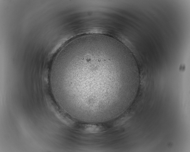 X0000111390347200907171251