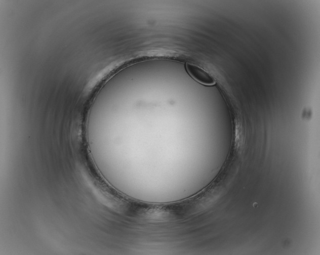 X0000111390348200907171251