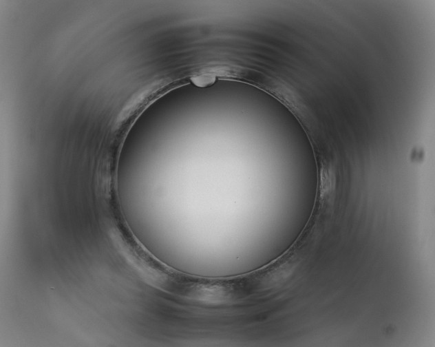 X0000111390349200907171251