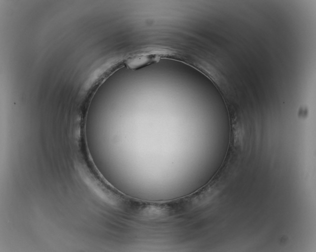 X0000111390350200907171251