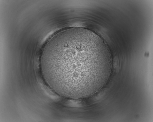 X0000111390351200907171251