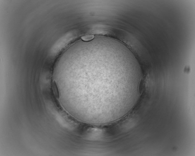 X0000111390352200907171252