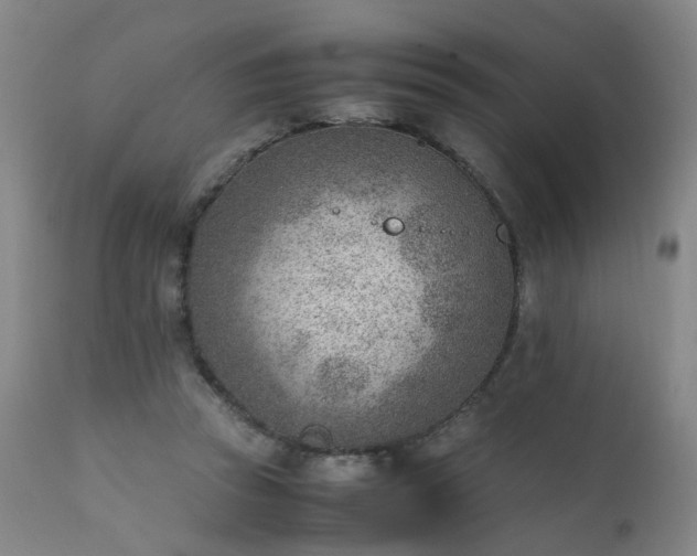 X0000111390353200907171252