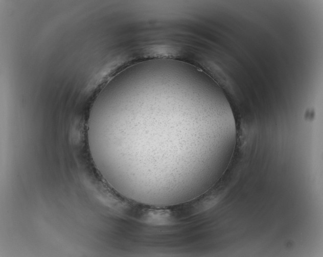 X0000111390355200907171252