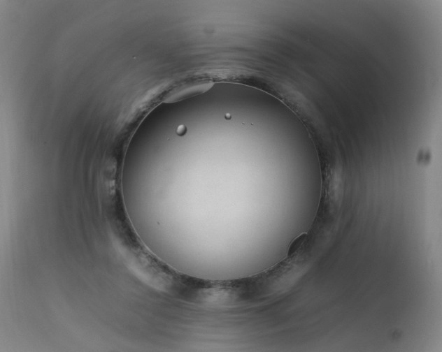 X0000111390356200907171252