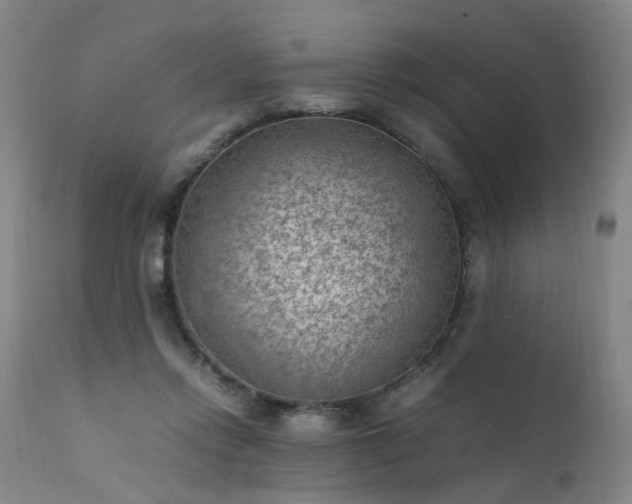 X0000111390358200907171252