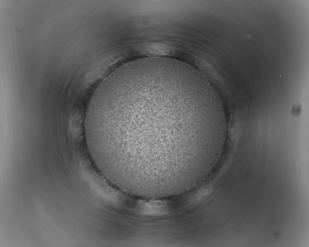 X0000111390359200907171252