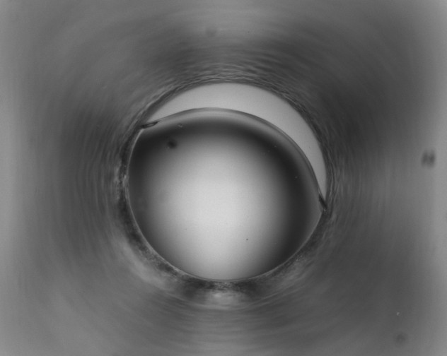 X0000111390360200907171252