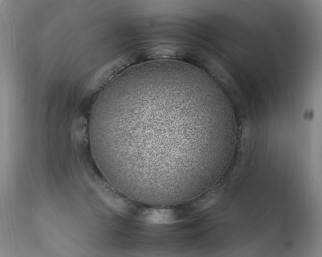 X0000111390361200907171252