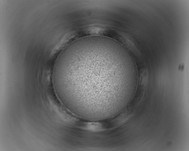 X0000111390363200907171252