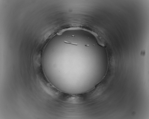 X0000111390364200907171252