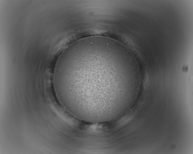 X0000111390366200907171252