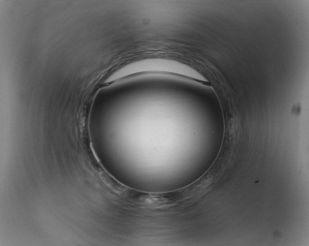 X0000111390372200907171252