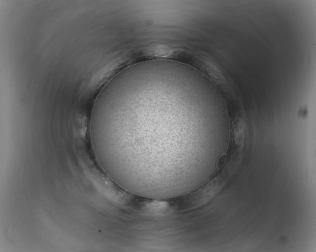 X0000111390374200907171252