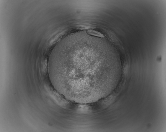 X0000111390376200907171252