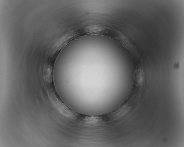 X0000111390378200907171252