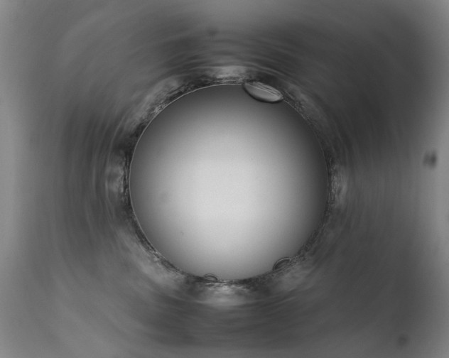 X0000111390379200907171252