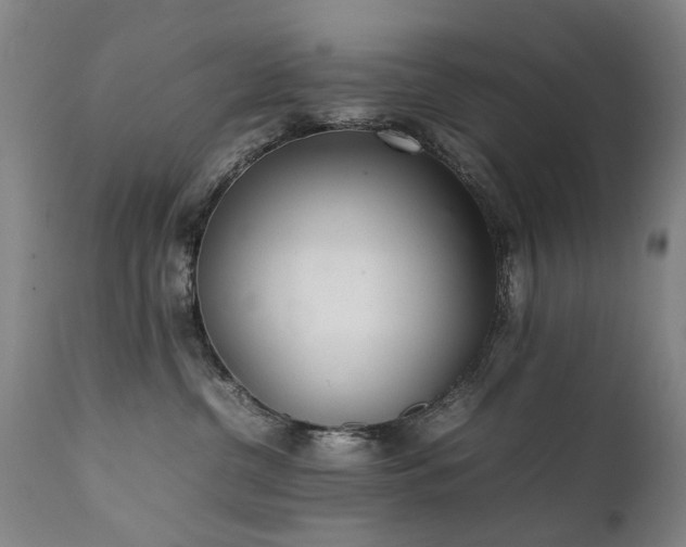 X0000111390380200907171252