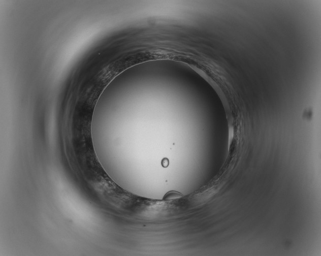 X0000111390382200907171252