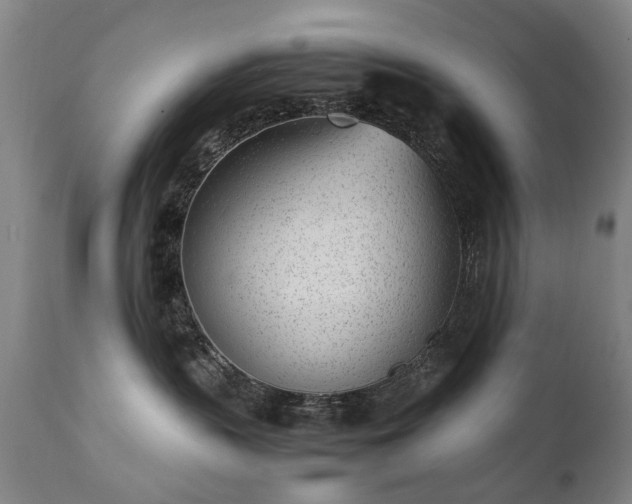 X0000111390383200907171252