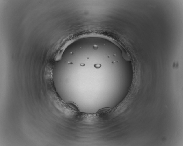 X0000111390384200907171252