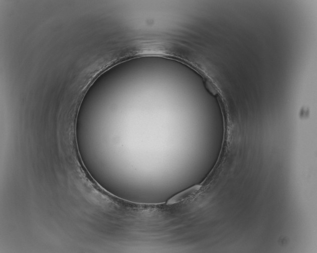 X0000111390385200907171251