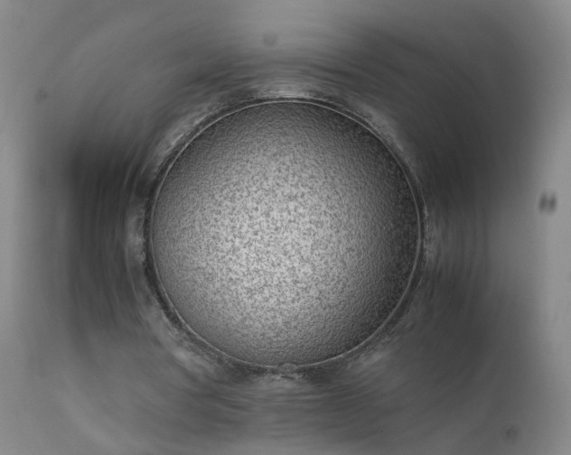 X0000111390386200907171251