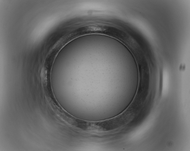 X0000111390387200907171251