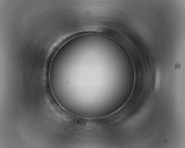 X0000111390388200907171251