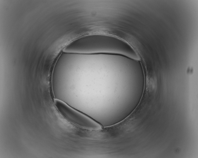 X0000111390389200907171251