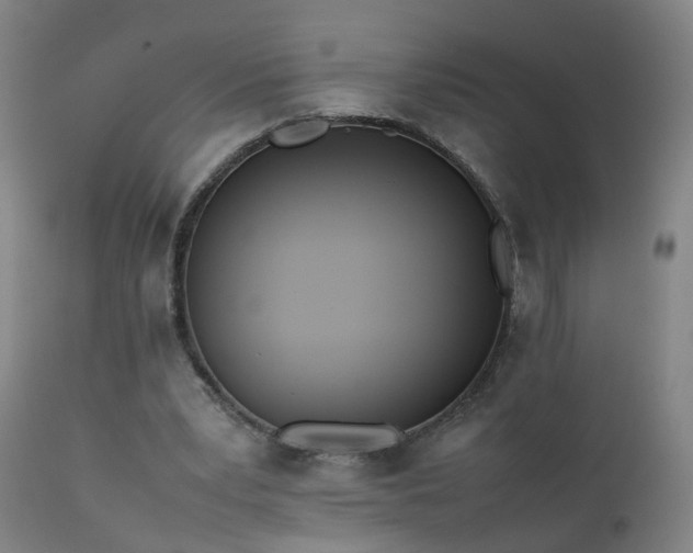 X0000111390391200907171251