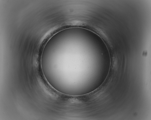 X0000111390392200907171251