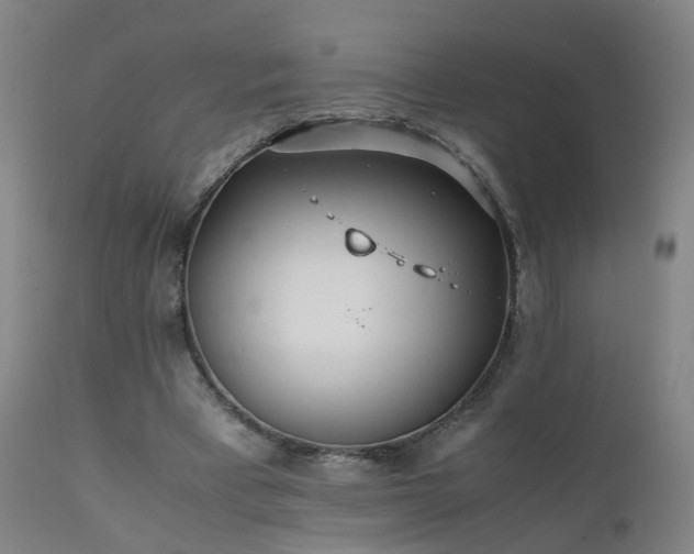 X0000111390393200907171251