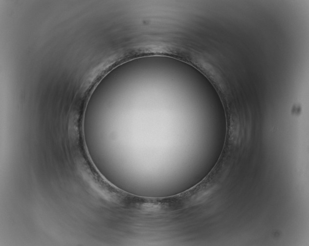 X0000111390394200907171251